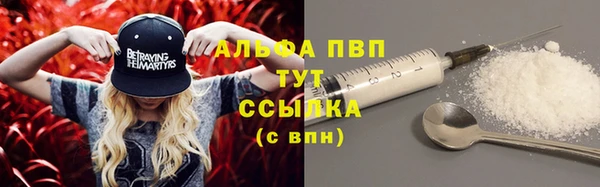 метадон Алексин