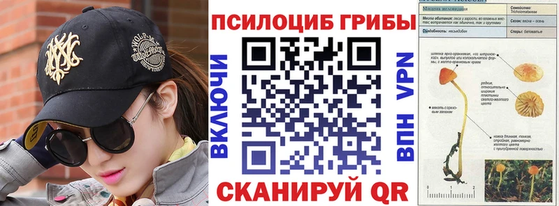 Галлюциногенные грибы мицелий  Советская Гавань 